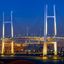 YOKOHAMA Bay Bridge Evening to Night