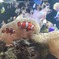 IMG_20230625_140432_182