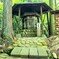 100_0019 (1) (1)