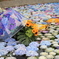 紫陽花の水中花