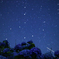 紫陽花×星空指数90☆⋆*.。
