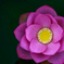花はす３