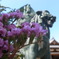 仏像と花
