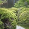 古峯神社にて2