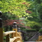 古峯神社の夏紅葉