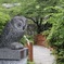 ほたる見橋公園の子