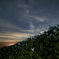 imagined scenery
