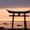 夕日の鳥居