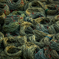 Rope