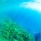 母なる海にて