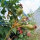 IMG_20240721_073057