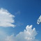 「青い空へ」