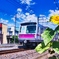 ひまわりと東京メトロ