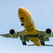 伊丹空港　JA743A（BOEING 777-200)