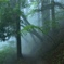 Mystical Power in Mt. Mitake