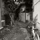 ちょっぴり怪しい路地