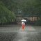雨降る境内 （719T)
