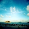 sunny sea