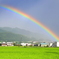 雨上がりのご褒美１