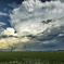 夏の雲