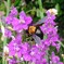 DSC_0018_1(1)