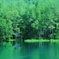 みしゃかいけ 夏光
