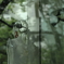 Transparency