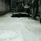 cat_02