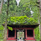 戸隠神社　奥社へ