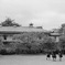 20240801 2015№014-07