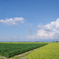 夏空　IMGP3856