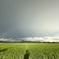 雨上がりの風景