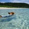 swimming dog
