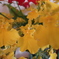 我が家の花４
