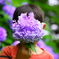 face to hydrangea