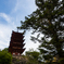 厳島神社の五重塔
