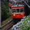 あじさい電車