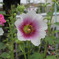 DSCN0042