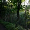The Mountain Day in 2024(Mt.Daibosatsu)m