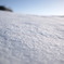 吹きさらしの雪
