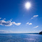 夏　海