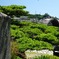 錦帯橋