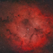 IC1396_2024.08.01