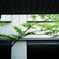 tokyo hotel