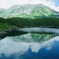 夏のミクリガイケ