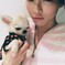 釈由美子さんと愛犬のチワワ