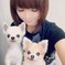 釈由美子さんと愛犬のチワワ