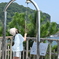 幸せの鐘