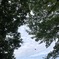 朝散歩の空