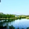 夏の涼池